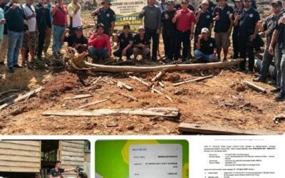 Diduga Libatkan Oknum TNI, Polemik Lahan Jagung Berau Memanas; Petani Klaim Lahan APL Masuk Wilayah Izin PT Inhutani I, Excavator Dilaporkan Raib